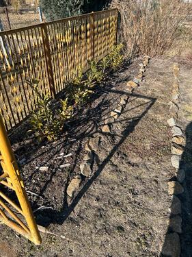 Foto - Grundst&uuml;ck in Ueckermünde zur Miete