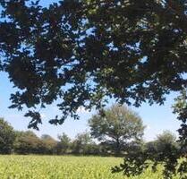 Modernes Wohnen in einer ruhigen und idyllischen Feldrandlage. - Großenwiehe