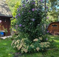 Wochenendhaus im Landschaftsschutzgebiet Blockland – Naturidylle - Bremen