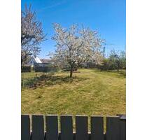 Pachtgarten in Neubukow - 250,00&nbsp;EUR Kaltmiete, ca.&nbsp; 0,00&nbsp;m&sup2; in Sanitz (PLZ: 18190)