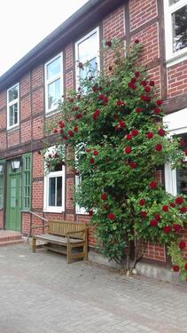 Foto - Bauernhaus, Landhaus in Bismark (Altmark) zum Kaufen