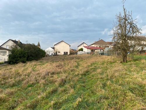 Foto - Einfamilienhaus in Mettlach zum Kaufen