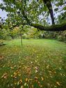Foto - Erdgeschosswohnung mit Garten und Garage in Neuhermsheim