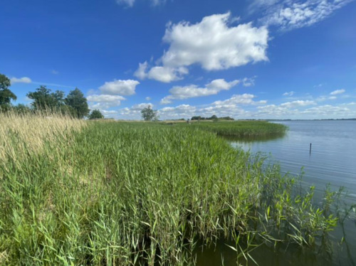 Foto - andere in Garz/Rügen zur Miete