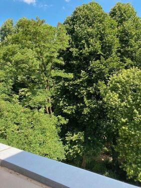 Foto - 2-Zimmer Wohnung mit grosser Terrasse