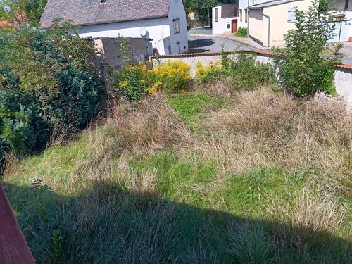 Foto - Einfamilienhaus in Aschersleben