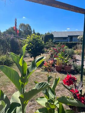 Foto - Grundstück in Magdeburg zur Miete