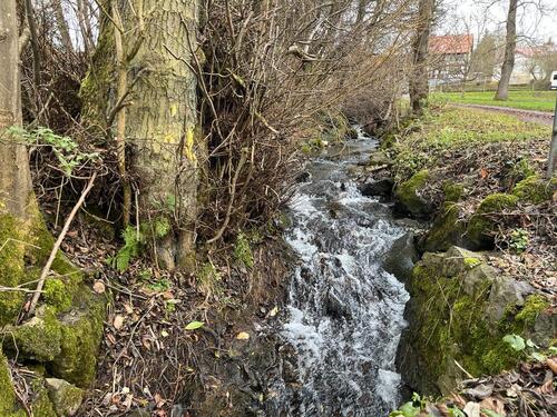 Foto - Garten mit Teichen & Hütte in 63636 Streitberg zu vermieten