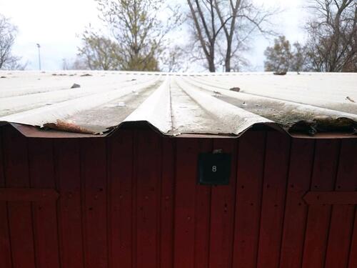 Foto - andere in Bentwisch