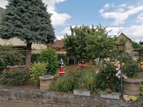 Foto - Einfamilienhaus in Schweinfurt zur Miete