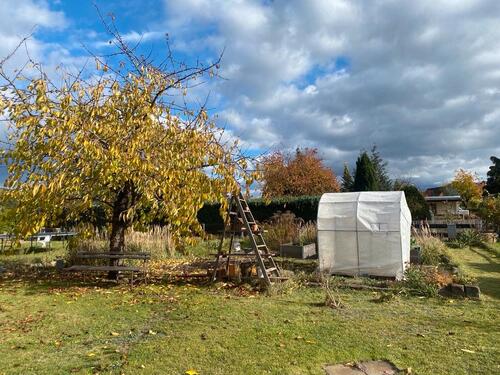 Foto - Grundstück in Bernsdorf