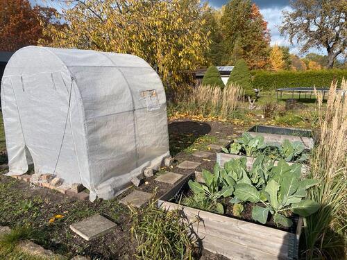 Foto - Grundstück in Bernsdorf zur Miete