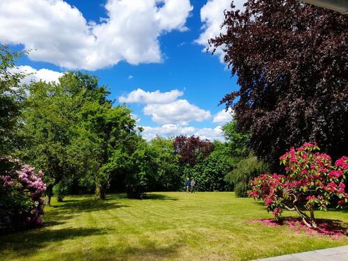 Foto - Erdgeschoßwohnung in Schlangenbad zur Miete