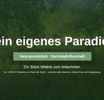 Dein eigenes kleines Paradies am Rand von Darmstadt-Eberstadt