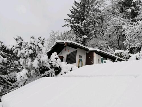 Foto - Schöner Garten mit Wochenendhaus zwischen Zewen und Euren