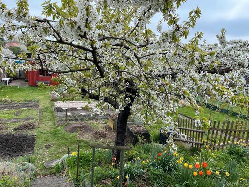 Foto - Grundstück zur Miete in Leipzig