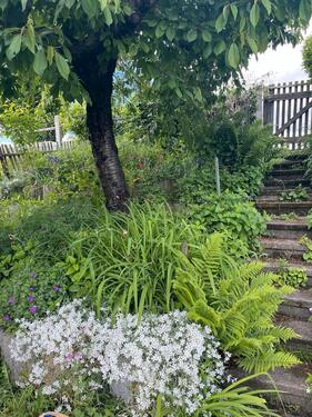 Foto - Grundstück in Leipzig