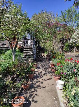 Foto - Schöner Pachtgarten in Holleben abzugeben.