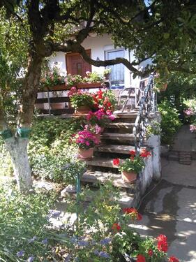 Foto - Grundstück in Teutschenthal zur Miete