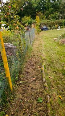 Foto - Grundst&uuml;ck zur Miete in Krefeld