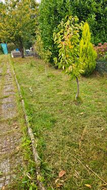 Foto - Grundst&uuml;ck in Krefeld