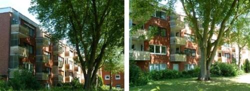 Foto - 3-Zimmer-Wohnung mit Balkon in der Bremer Neustadt