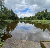 Weiher Fischweiher Teich Fischteich Freizeitgrundstück - Wangen im Allgäu