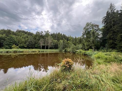 Foto - Grundst&uuml;ck zur Miete in Wangen im Allgäu