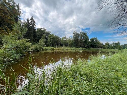Foto - Grundst&uuml;ck in Wangen im Allgäu