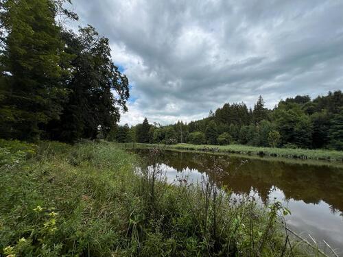 Foto - Grundst&uuml;ck in Wangen im Allgäu zur Miete