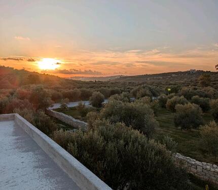 Foto - Einfamilienhaus in Bohmte