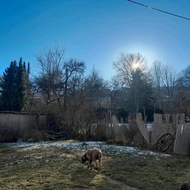 Foto - Einfamilienhaus in Burladingen zum Kaufen