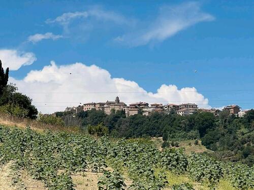 Foto - andere zur Miete in Pullach im Isartal