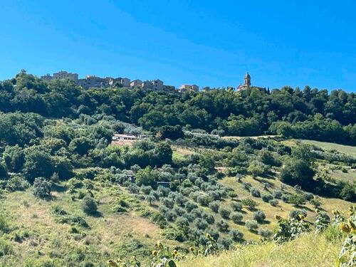 Foto - andere in Pullach im Isartal zur Miete