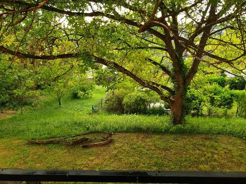 Foto - 10 Zimmer Einfamilienhaus in Ober-Olm