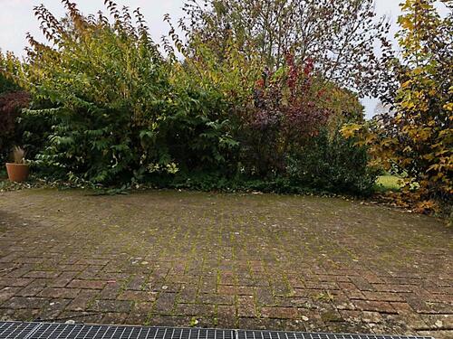 Foto - Etagenwohnung zur Miete in Korswandt