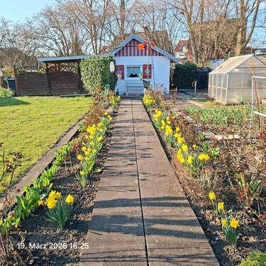 Foto - Kleingarten im April abzugeben in Ahlen