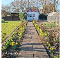 Kleingarten im April abzugeben in Ahlen