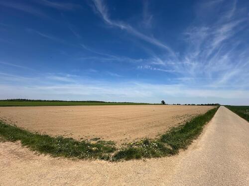 Foto - INVESTOREN - Ackerland mit Windparkvertrag sowie zusätzliche Ackerfläche