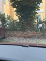 Foto - andere zur Miete in Meerbusch