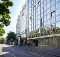 Frankfurt my Zeil - Sanierte Tiefgaragenstellplätze verfügbar! - Frankfurt am Main Innenstadt