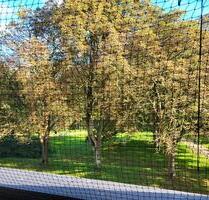 3 Zimmer Wohnung - 1.110,00&nbsp;EUR Kaltmiete, ca.&nbsp; 85,00&nbsp;m&sup2; in Rendsburg (PLZ: 24768)