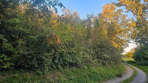 Foto - Grundstück in Kraichtal zur Miete