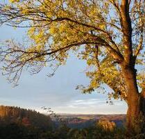 Kleines Haus zu vermieten - 1.900,00&nbsp;EUR Kaltmiete, ca.&nbsp; 130,00&nbsp;m&sup2; in Glonn (PLZ: 85625)