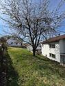 Foto - Einfamilienhaus in Rottenburg an der Laaber zum Kaufen