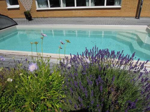 Foto - andere in Lindau (Bodensee)