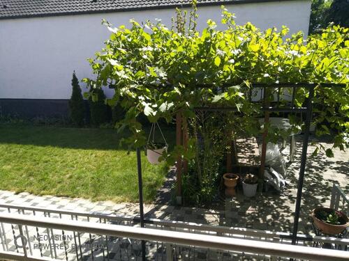 Foto - 12 Zimmer Einfamilienhaus in Dannstadt-Schauernheim