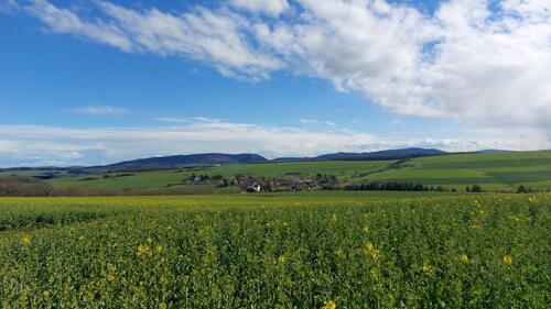 Foto - Schöne 2 ZKB 70 m2 Souterrain Wohnung Nähe Lauterecken