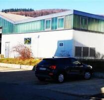 Kfz Werkstatt mit Lager Produktion Werkhalle zu vermieten 800qm - Treuchtlingen