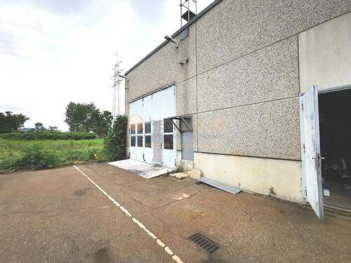 Foto - andere in Andernach